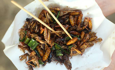 Eat ze bugs: WEF edict sentences humans to ‘zero-emissions’ food