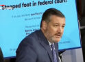 Sen. Cruz slams Democrats for rubber-stamping ‘amazingly unqualified’ Biden judicial picks