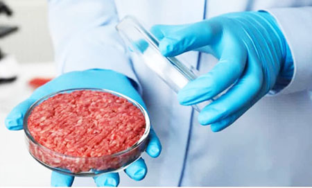 Bloody awful: What fake meat tycoons don’t want the public to know