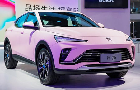 Analyst: Decouple from the CCP, ban Chinese EVs and stop the insanity