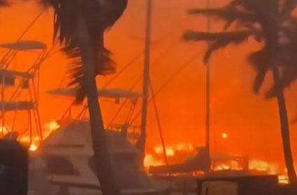 Reports: Team Biden could respond to Maui fire by declaring pandemic-like ‘climate emergency’