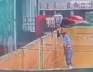Down and out in Shandong: Tsingtao beer sales plummet after urinating worker video goes viral