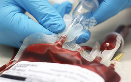 Japanese researchers warn against blood transfusions from Covid injection recipients
